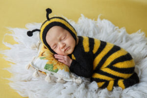 Newborn Photos of a baby dressed in a bee costume.