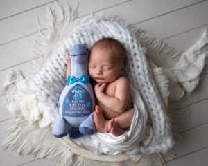 Newborn Portrait of a baby boy cuddles in a basket with a blue dinosaur toy