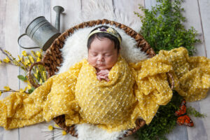 Baby girl in a yellow blanket laying in a basket with a little watering can and flowers.