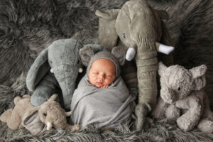 Newborn baby wrapped in a gray blanket sitting with stuffed gray elephants of different sizes.  