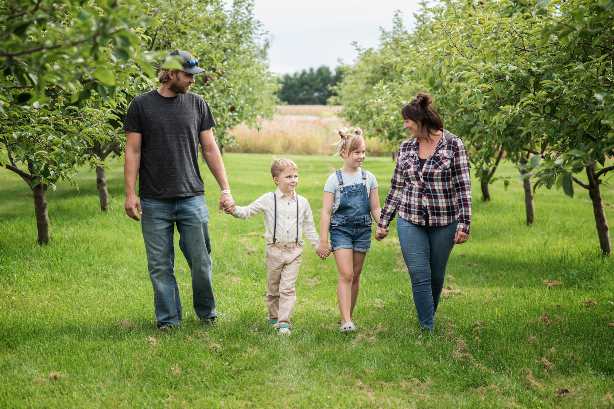 A portrait of a Family of four walking hand in hand in the apple orchard.